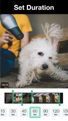 Magisto - Video Editor & Music screenshot 11