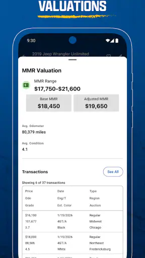 Manheim screenshot 4