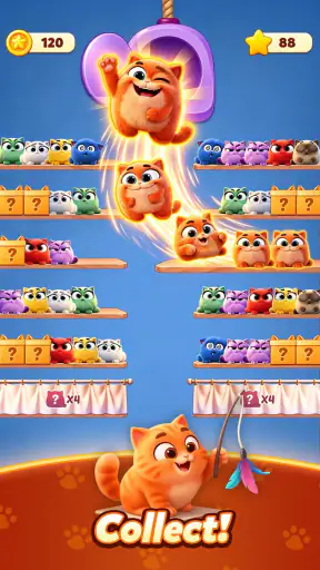 Meow Sort-Color Puzzle Master screenshot 10