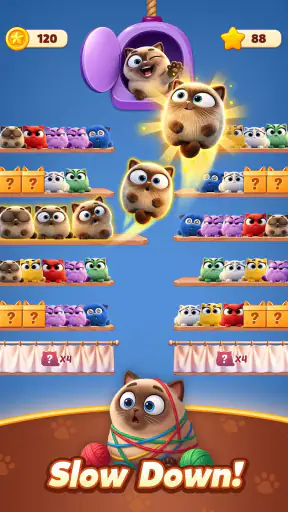 Meow Sort-Color Puzzle Master screenshot 11