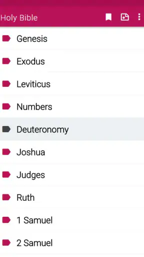 NewKing James Version Bible screenshot 3