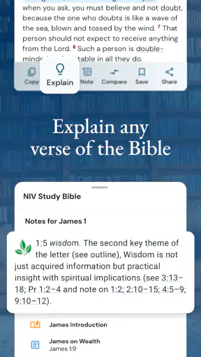 NIV Bible screenshot 5