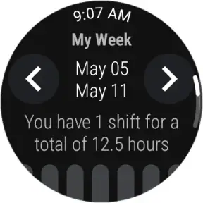 NurseGrid: Nursing Calendar screenshot 6