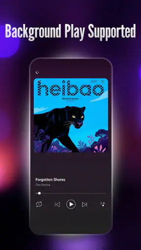 Offline Player: Local Music screenshot 3