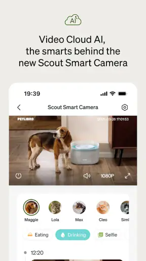 Petlibro screenshot 8