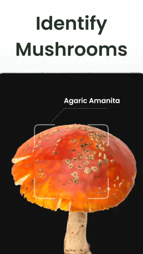 Plant Identifier: Plantiary screenshot 10