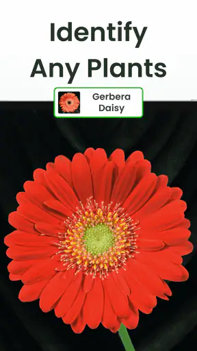 Plant Identifier: Plantiary screenshot 9