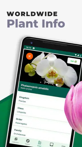 PlantSnap: Plant Identifier screenshot 10