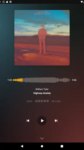 Plexamp screenshot 11