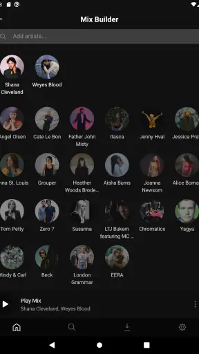 Plexamp screenshot 12