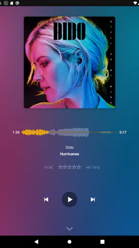 Plexamp screenshot 9