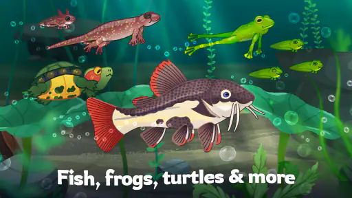 Pondlife — Fish, Frogs & More! screenshot 2