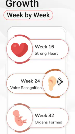 Pregnancy Calculator: Due Date screenshot 11