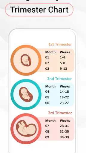 Pregnancy Calculator: Due Date screenshot 4