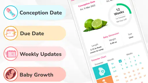 Pregnancy Calculator: Due Date screenshot 7