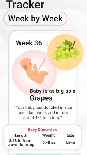 Pregnancy Calculator: Due Date screenshot 8