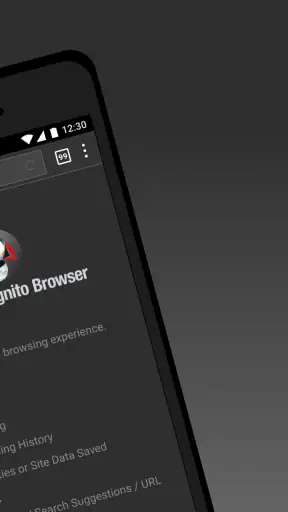 Puffin Incognito Browser screenshot 2
