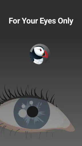 Puffin Incognito Browser screenshot 5