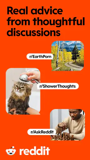 Reddit screenshot
