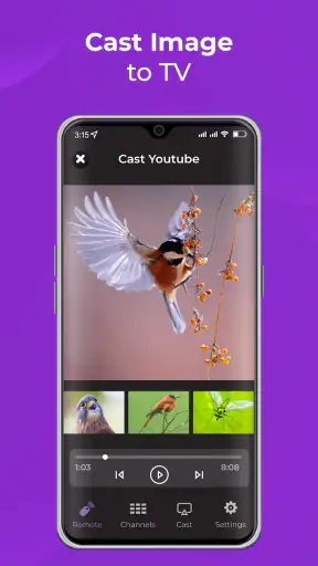 Remote Control for RokuTV screenshot 7