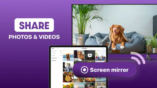 Roku Screen Mirror & Cast TV screenshot 11