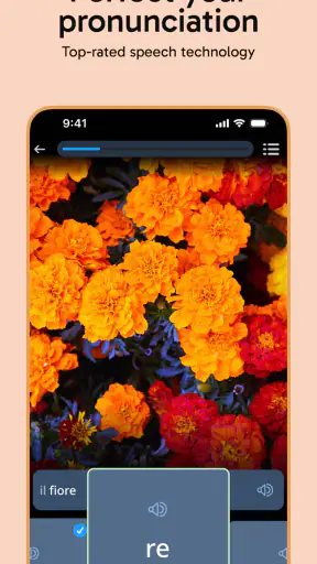 Rosetta Stone Sapphire screenshot 5