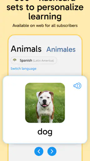 Rosetta Stone Sapphire screenshot 7