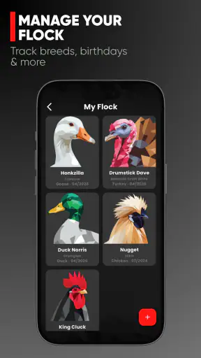 RUN-CHICKEN screenshot 6