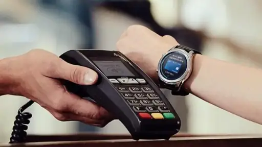 Samsung Wallet/Pay (Watch) screenshot 1
