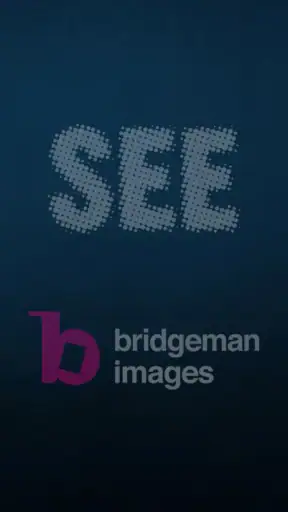 SEE's Michelangelo's Sistine screenshot 2