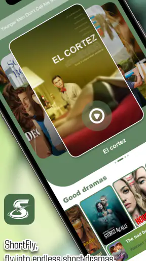 ShortFly screenshot 5