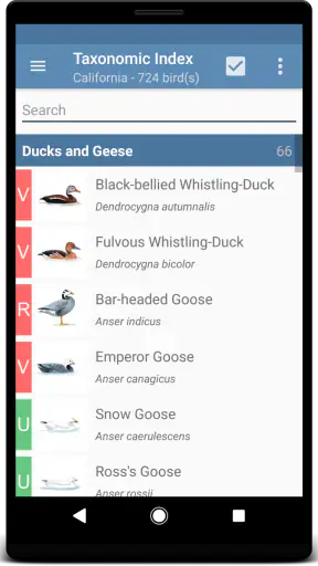Sibley Birds 2nd Edition screenshot 2