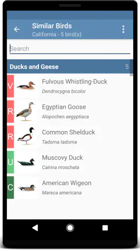 Sibley Birds 2nd Edition screenshot 4