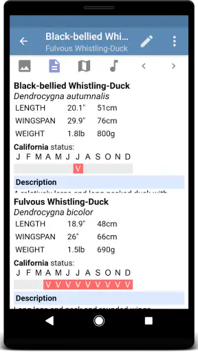 Sibley Birds 2nd Edition screenshot 5
