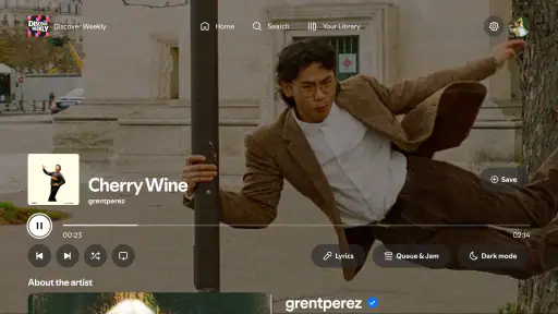 Spotify: Music & Podcasts screenshot 11