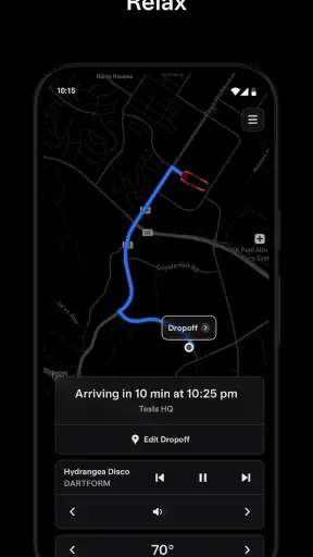 Tesla Robotaxi screenshot 12