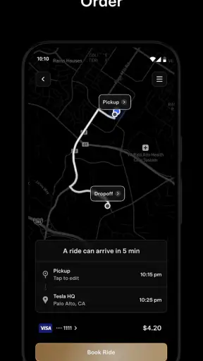 Tesla Robotaxi screenshot 9