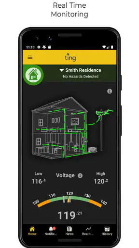 Ting screenshot 2