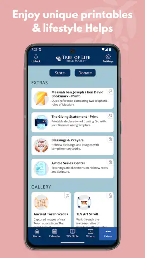 TLV Bible screenshot 6