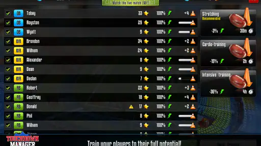 Touchdown Manager screenshot 9