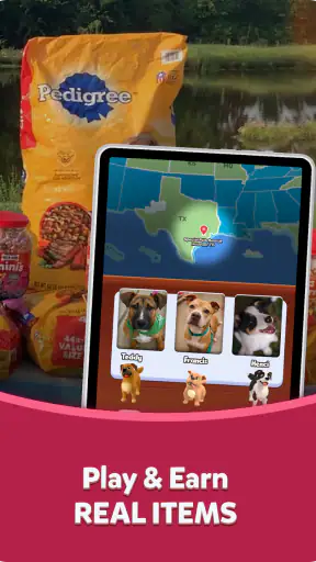 TREAT: Play & impact REAL dogs screenshot 7
