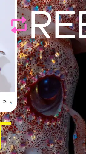Tumblr: Social Media & Art screenshot
