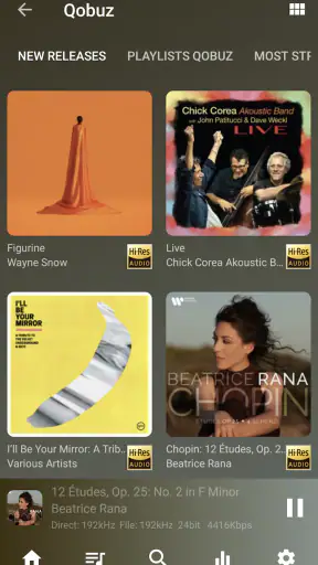 USB Audio Player PRO screenshot 6