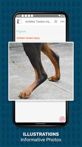 Veterinary Advisor: Dogs Cats screenshot 11