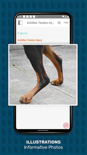 Veterinary Advisor: Dogs Cats screenshot 3