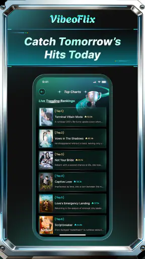 VibeoFlix screenshot 4