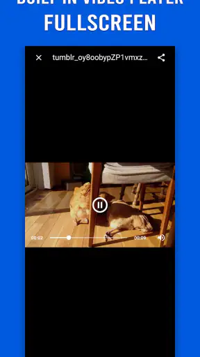Video Downloader for Tumblr screenshot 11