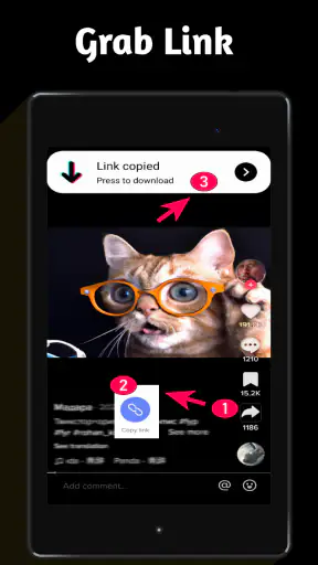 Video Downloader TSaver screenshot 5