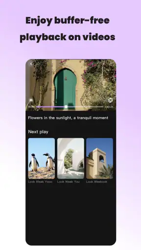 Vidzy-Well Organized screenshot 2