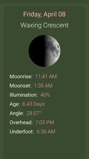 What The Forecast screenshot 8